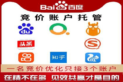 竞价推广与SEM托管双剑合璧——一则营销案例解析